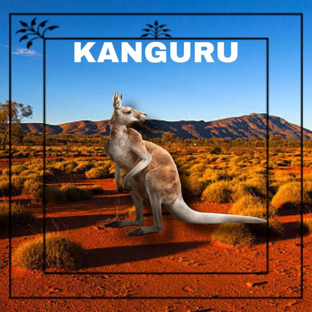 Kanguru