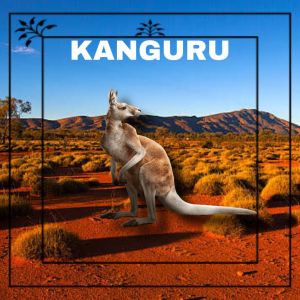 brazzika的專輯Kanguru (Explicit)