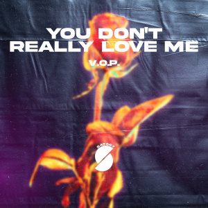 Listen to You Don't Really Love Me song with lyrics from V.O.P.