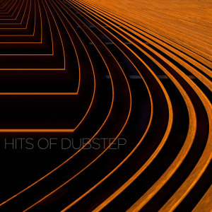 Various Artists的專輯Hits of Dubstep