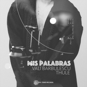 Vali Barbulescu的专辑Mis Palabras