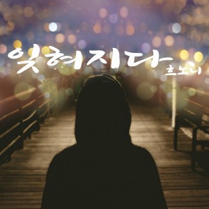 收听흐노니的잊혀지다歌词歌曲