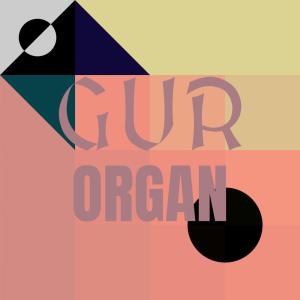 Various Artists的專輯Gur Organ