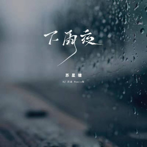Listen to 下雨夜 (DJ沈念Remix版) song with lyrics from 苏星婕