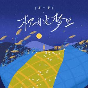 Album 枕月光梦里 from 楼沁