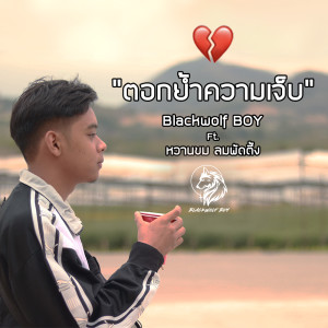 อัลบัม ตอกย้ำความเจ็บ Feat.หวานขมลมพัดตึ้ง - Single ศิลปิน Blackwolf Boy