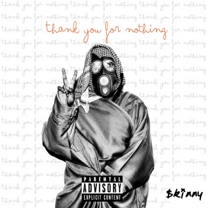 Listen to I Don't Give A ... (Explicit) song with lyrics from Skinny