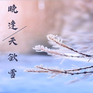 อัลบัม 晚逢天欲雪 ศิลปิน 白翎