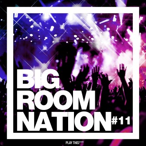 Album Big Room Nation, Vol. 11 from Various Artists