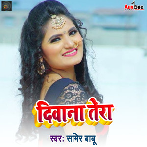 Listen to Deewana Tera song with lyrics from Sameer Babu