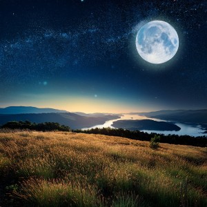 ดาวน์โหลดและฟังเพลง Canciones Pacíficas De Guitarras Al Atardecer พร้อมเนื้อเพลงจาก Reposo en música sonora