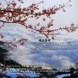 อัลบัม 태교음악 태교음악 ศิลปิน  Various Artists 