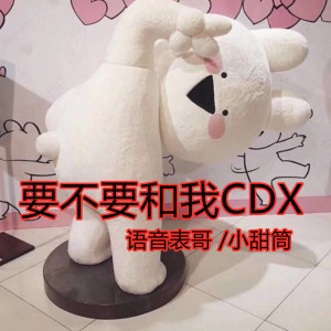 收聽語音表哥的要不要和我CDX歌詞歌曲