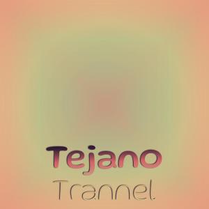 Various的专辑Tejano Trannel