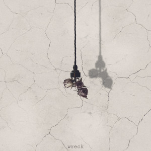 Album Wreck from Vorsa