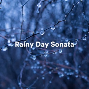 Rainy Day Sonata (Serene and Relaxing Piano Rain Music) dari Weather FX