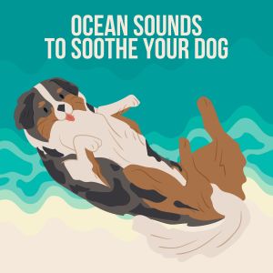 Dog Sleep Academy的专辑Ocean Sounds to Soothe Your Dog