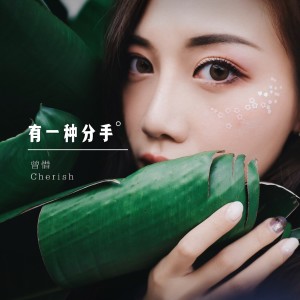 收听曾惜的有一種分手 (伴奏)歌词歌曲