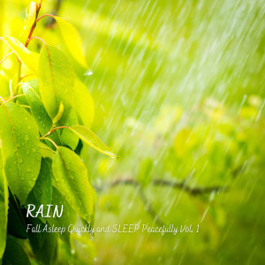 Album Rain:  Fall Asleep Quickly and Sleep Peacefully Vol. 1 from sleepy planet