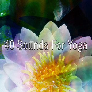 ดาวน์โหลดและฟังเพลง Share Your Mind พร้อมเนื้อเพลงจาก Meditation Spa