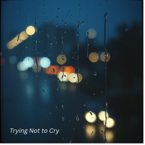 Album Trying Not To cry from 