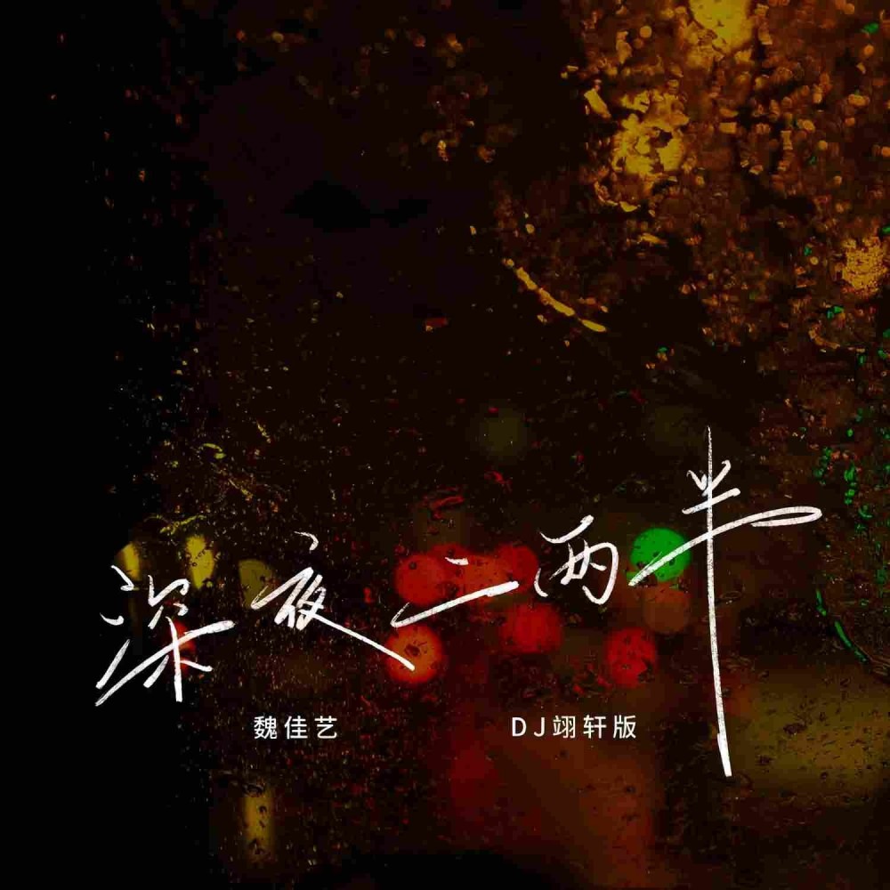 深夜二两半(DJ翊轩版) (完整版)