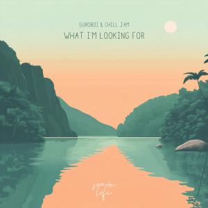 ดาวน์โหลดและฟังเพลง I Still Haven't Found What I'm Looking For พร้อมเนื้อเพลงจาก suroboi