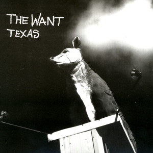 ดาวน์โหลดและฟังเพลง Texas พร้อมเนื้อเพลงจาก The Want