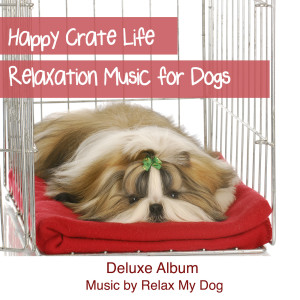 ดาวน์โหลดและฟังเพลง Curled Up พร้อมเนื้อเพลงจาก Relaxmydog