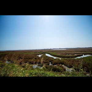 Listen to Contemplation song with lyrics from Asian Zen Meditation