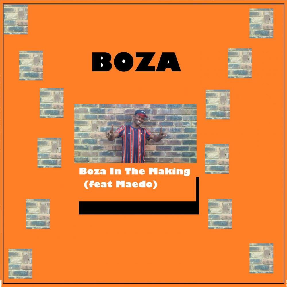 Boza In The Making(feat. Maedo)