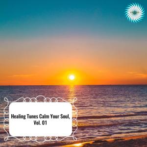 Listen to Calming the Mind song with lyrics from Mia Wilson