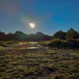 收聽Hoss的Инверсия по оси ценностей歌詞歌曲