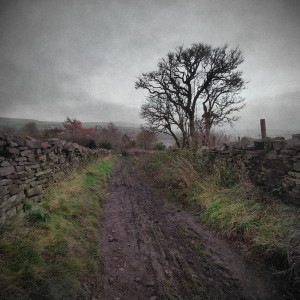 收听Colours in Context的Longitude歌词歌曲