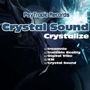 Listen to Battle of Mordor (Crystal Sound Remix) song with lyrics from Insomnia