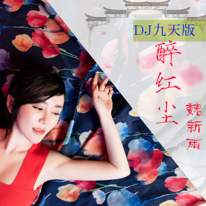 收聽魏新雨的醉紅塵 (Djheap九天版)歌詞歌曲