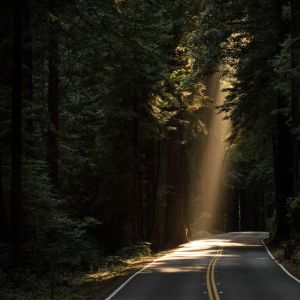 Listen to Deep Sleep song with lyrics from Rain Sounds