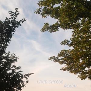 Album Reach from Livid Cheese