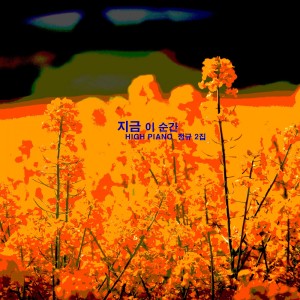 Listen to 지금이순간 song with lyrics from HIGH PIANO