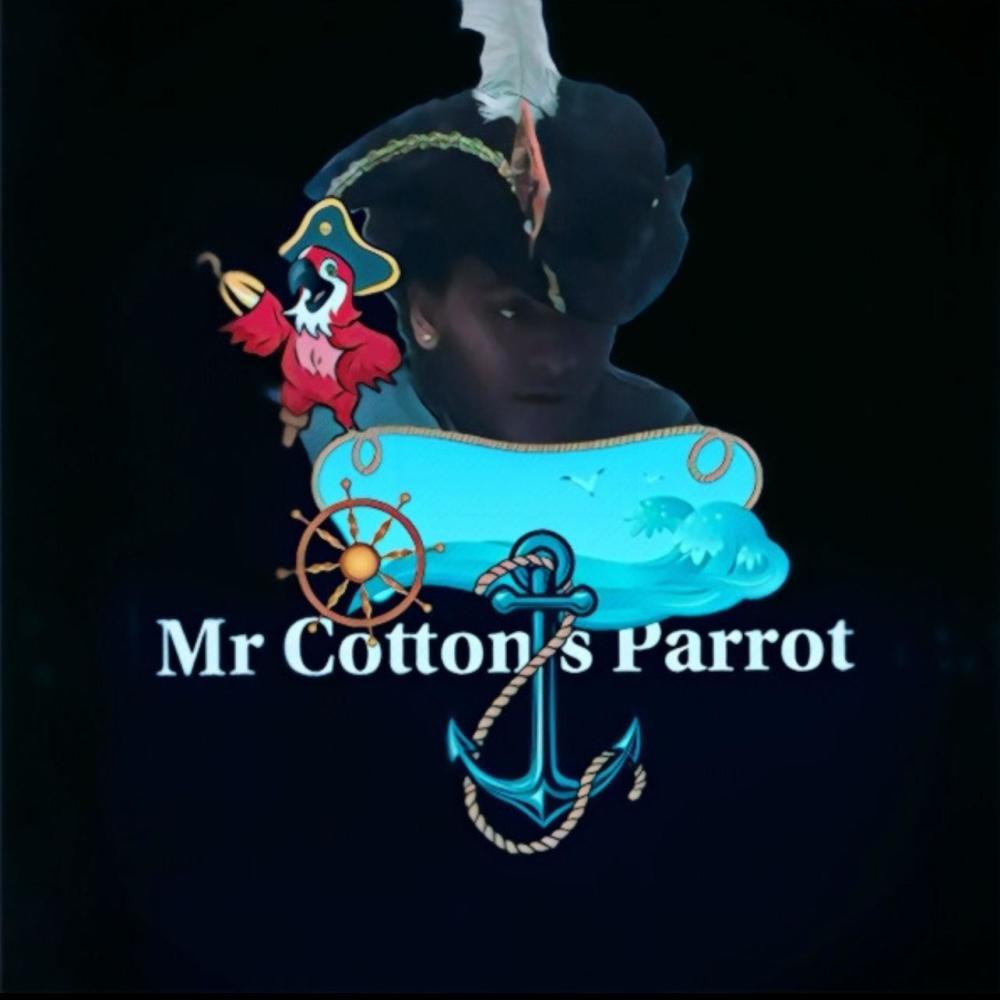 MR Cottons Parrot (What Did The Bird Say) (feat. Salvatore Ganacci) (Radio Edit)