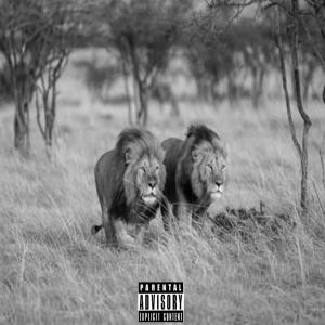 LOCCO RIO的專輯UPHAWINI! (feat. KAMEKVZI) [Explicit]