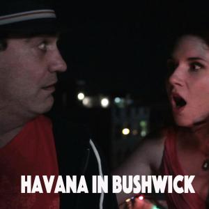 Dengarkan Havana in Bushwick lagu dari David Fernández dengan lirik