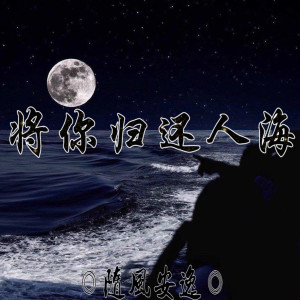 收听随风安逸的将你归还人海歌词歌曲