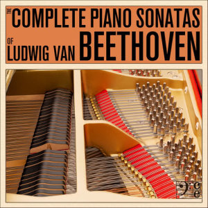 ดาวน์โหลดและฟังเพลง Piano Sonata No. 16 in G Major, Op. 31 No. 1: II. Adagio grazioso พร้อมเนื้อเพลงจาก Dubravka Tomsic