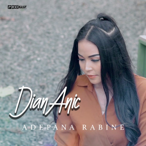 收聽Dian Anic的Adepana Rabine歌詞歌曲