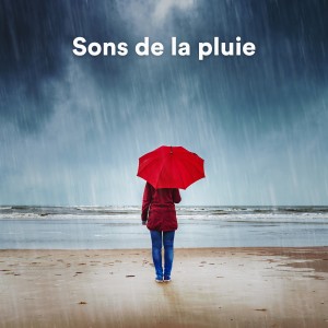 Sons De La Nature的专辑Sons de la pluie