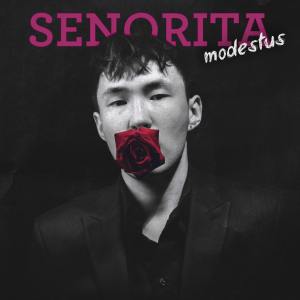 Listen to senorita (Explicit) song with lyrics from modestus