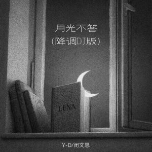 Y-D的專輯月光不答 (降調DJ版)