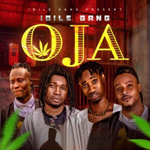 Album Oja from Ibile Gang