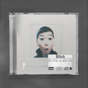 Album Bitch of the World from Tommo